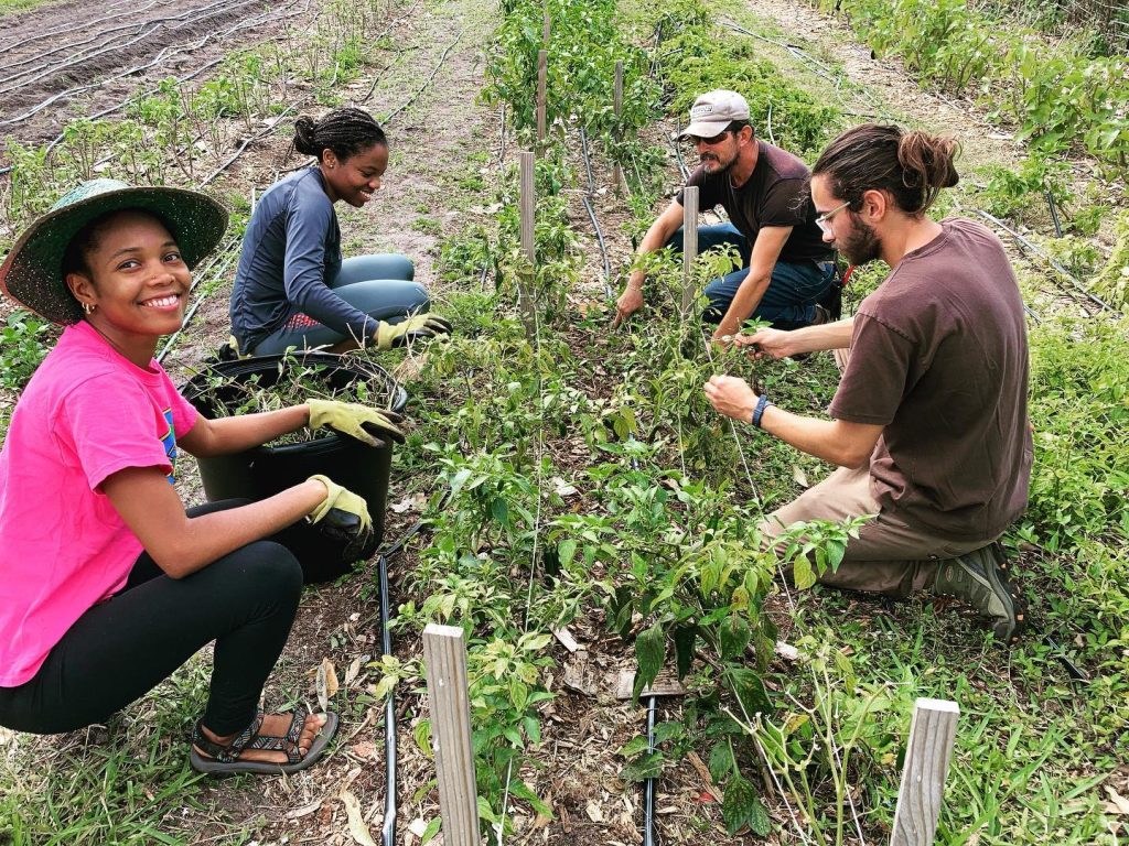 Westgate's Community Service Day Fundraiser! – Westgate Mennonite Collegiate