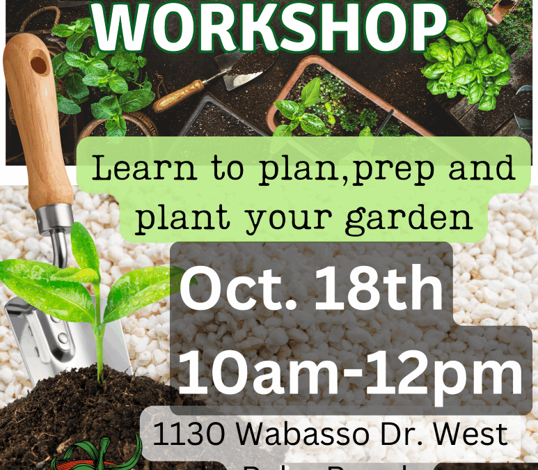 Organic Gardening 101