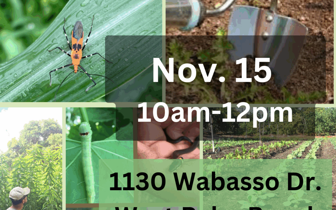 Gardening Class- Healthy Gardens: Controlling Pests, Disease, and Weeds